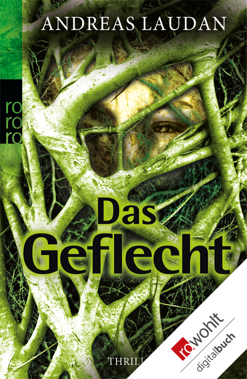 Das Geflecht