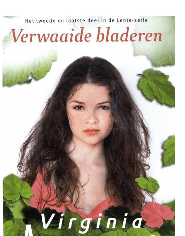 Verwaaide bladeren