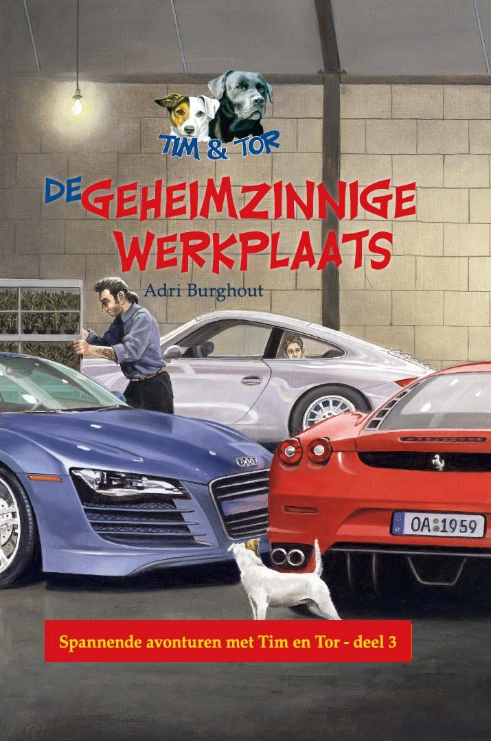 De geheimzinnige werkplaats