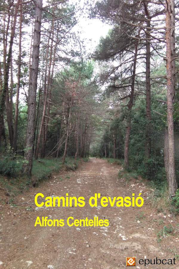 Camins d’evasió