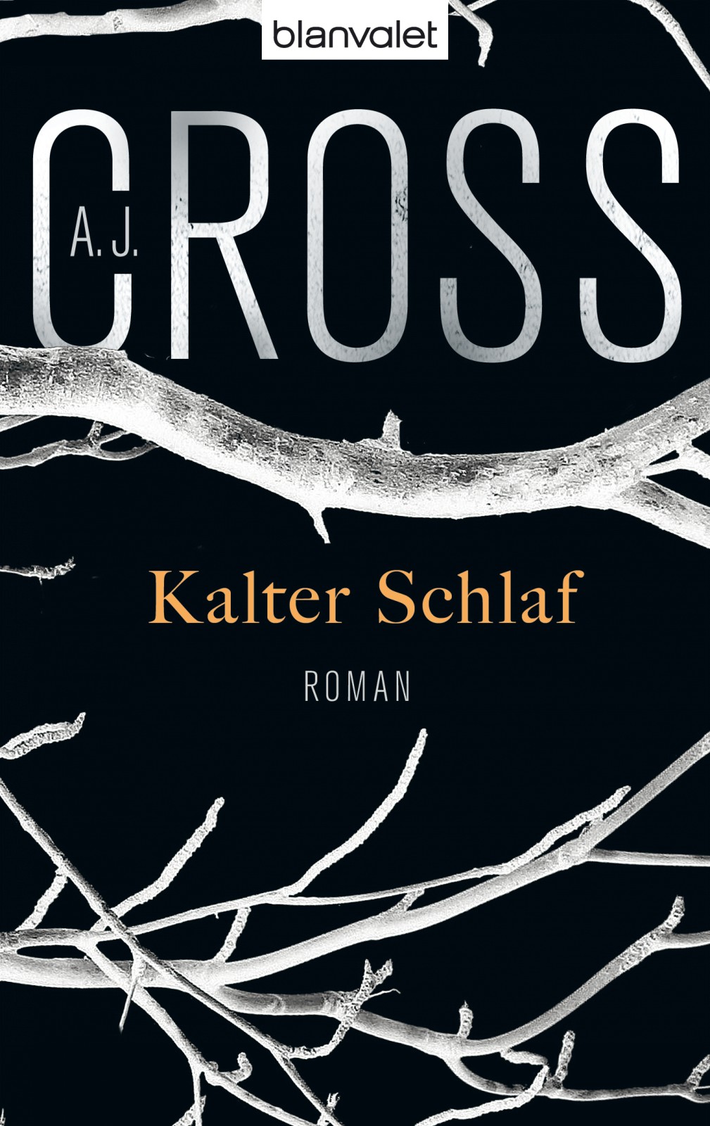 Kalter Schlaf - Roman
