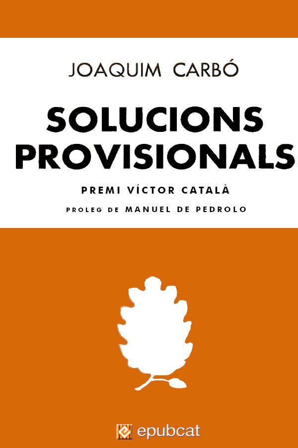 Solucions provisionals