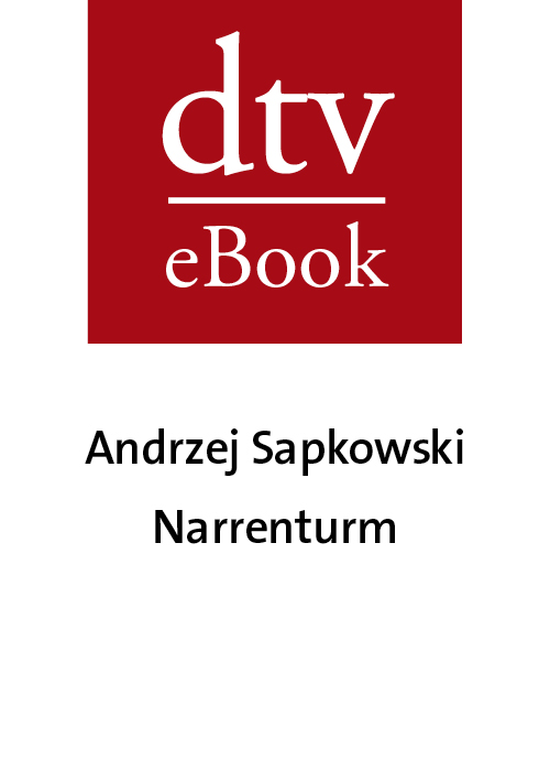 Narrenturm - Roman