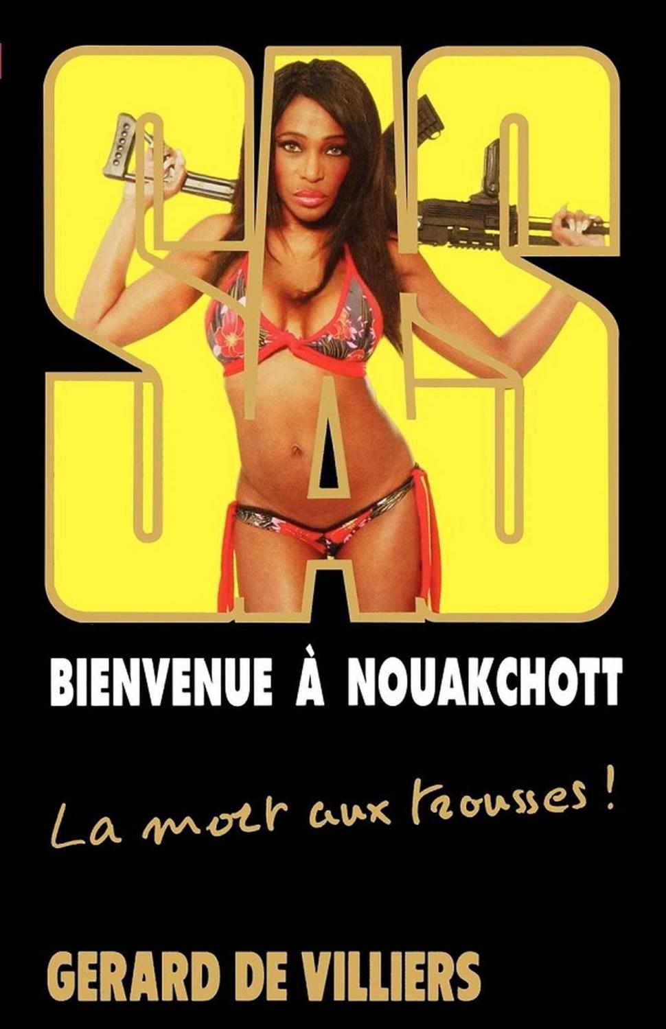 SAS 187 Bienvenue à Nouakchott