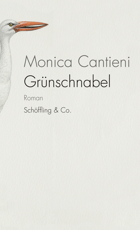 Monica Cantieni