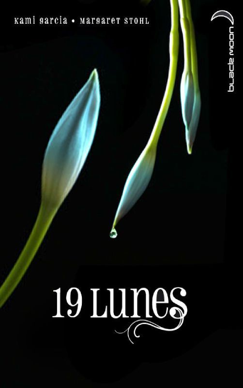 19 lunes [Livre des lunes-4]_By Sly