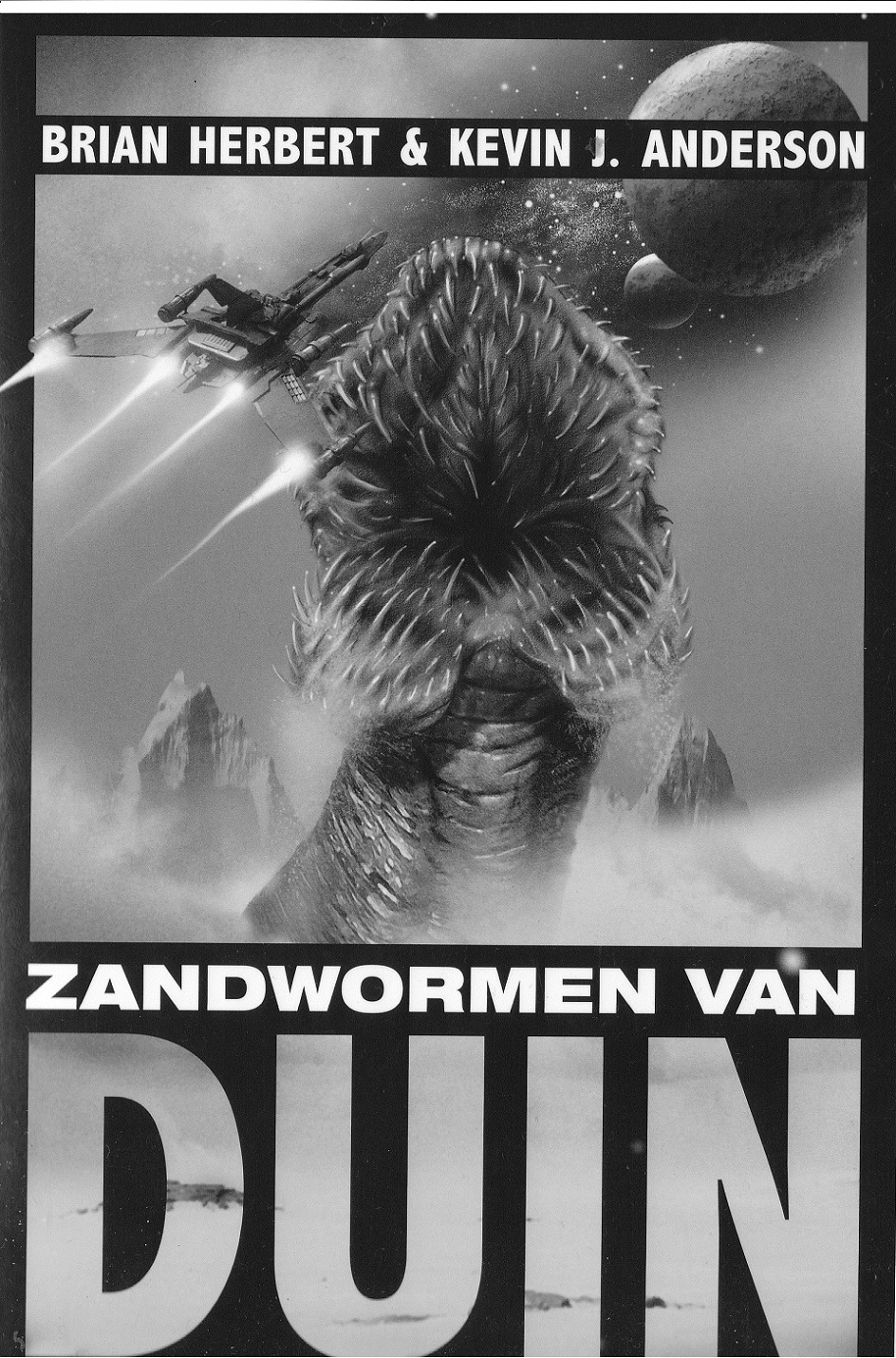 Zandwormen van Duin
