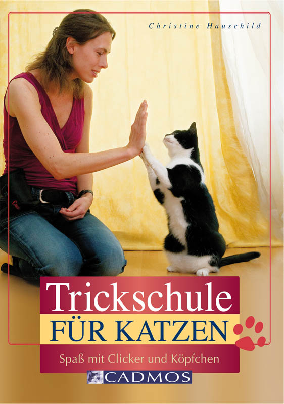 Trickschule fuer Katzen