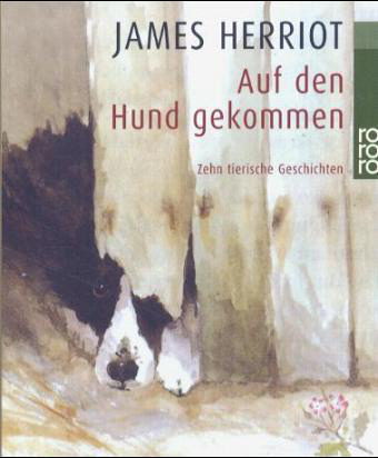 Auf den Hund gekommen