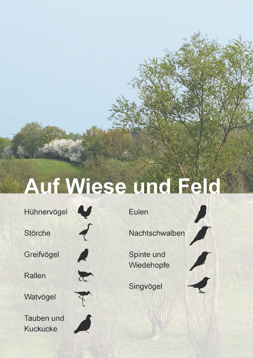 Kosmos-Vogelfuehrer fuer unterwegs