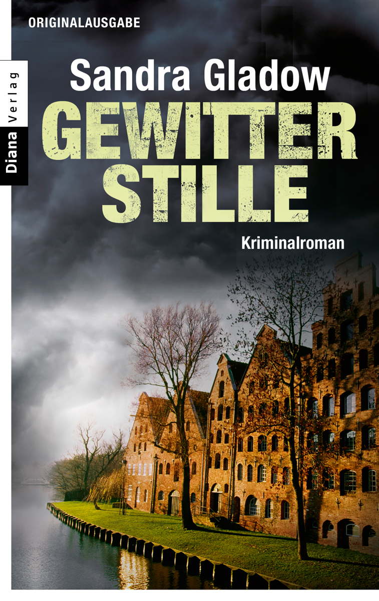 Gewitterstille - Kriminalroman