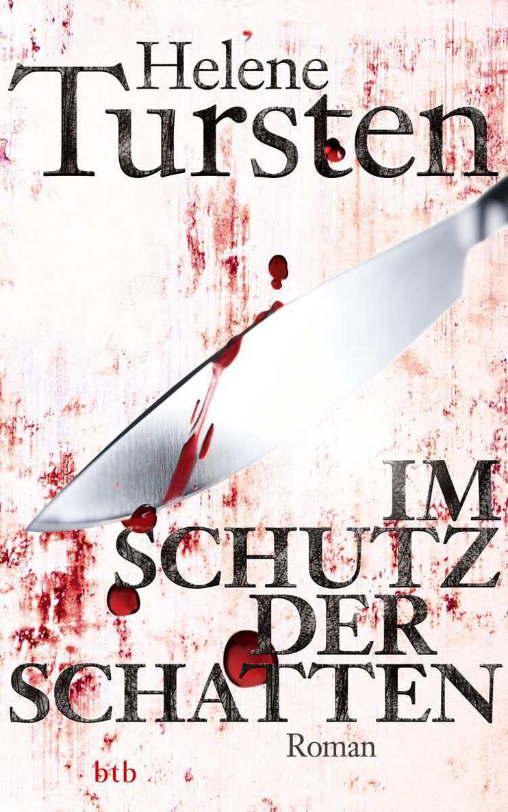 Im Schutz der Schatten: Roman