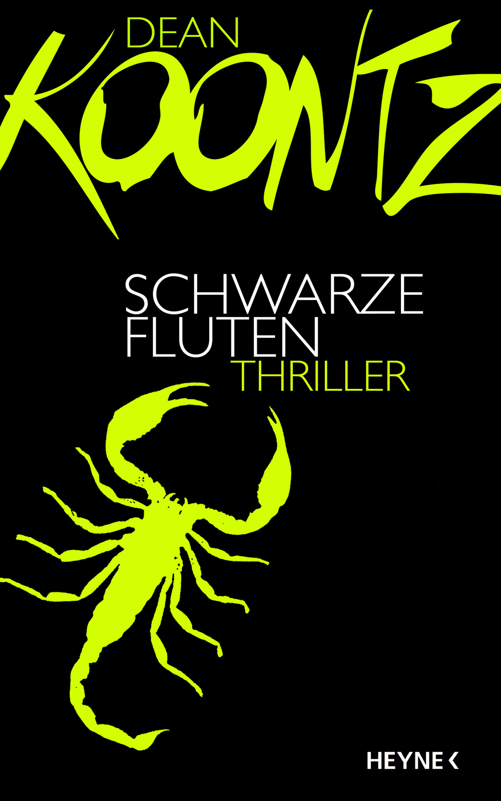 Schwarze Fluten - Roman