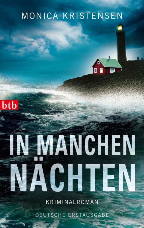 In manchen Nächten: Kriminalroman