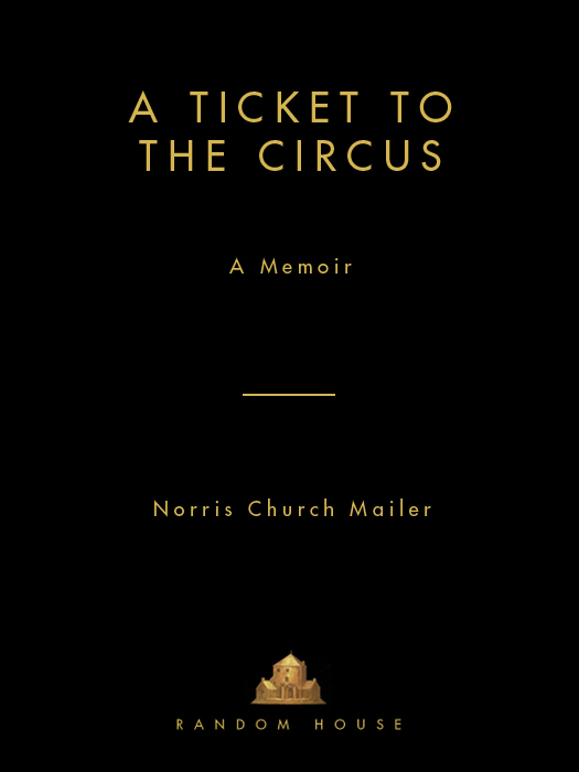 A Ticket to the Circus