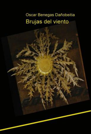 Brujas del viento
