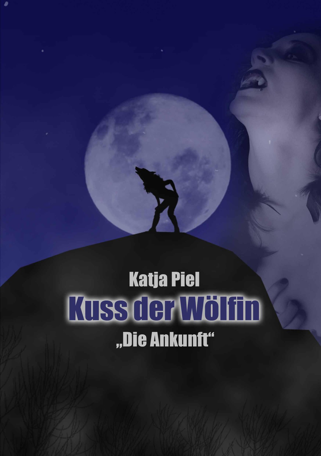 Die Ankunft