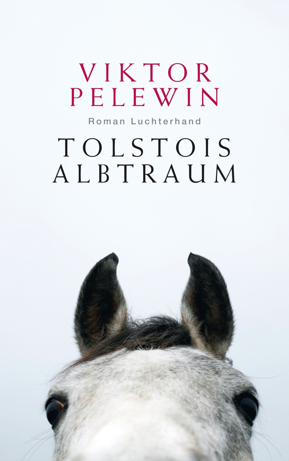 Tolstois Albtraum - Roman
