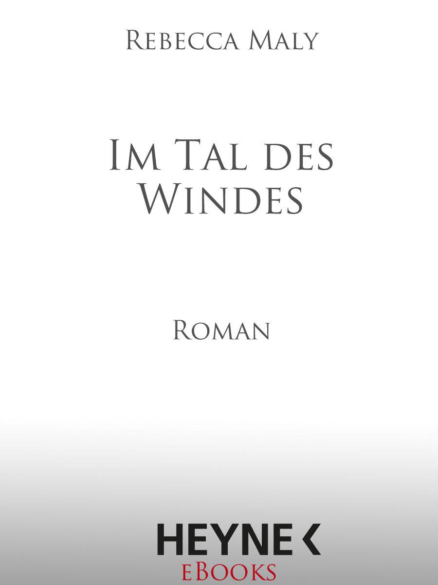 Im Tal des Windes: Roman