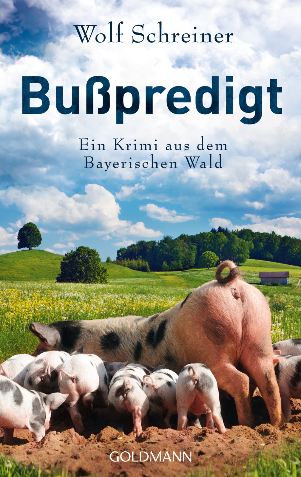 Baltasar Senner 03 - Busspredigt