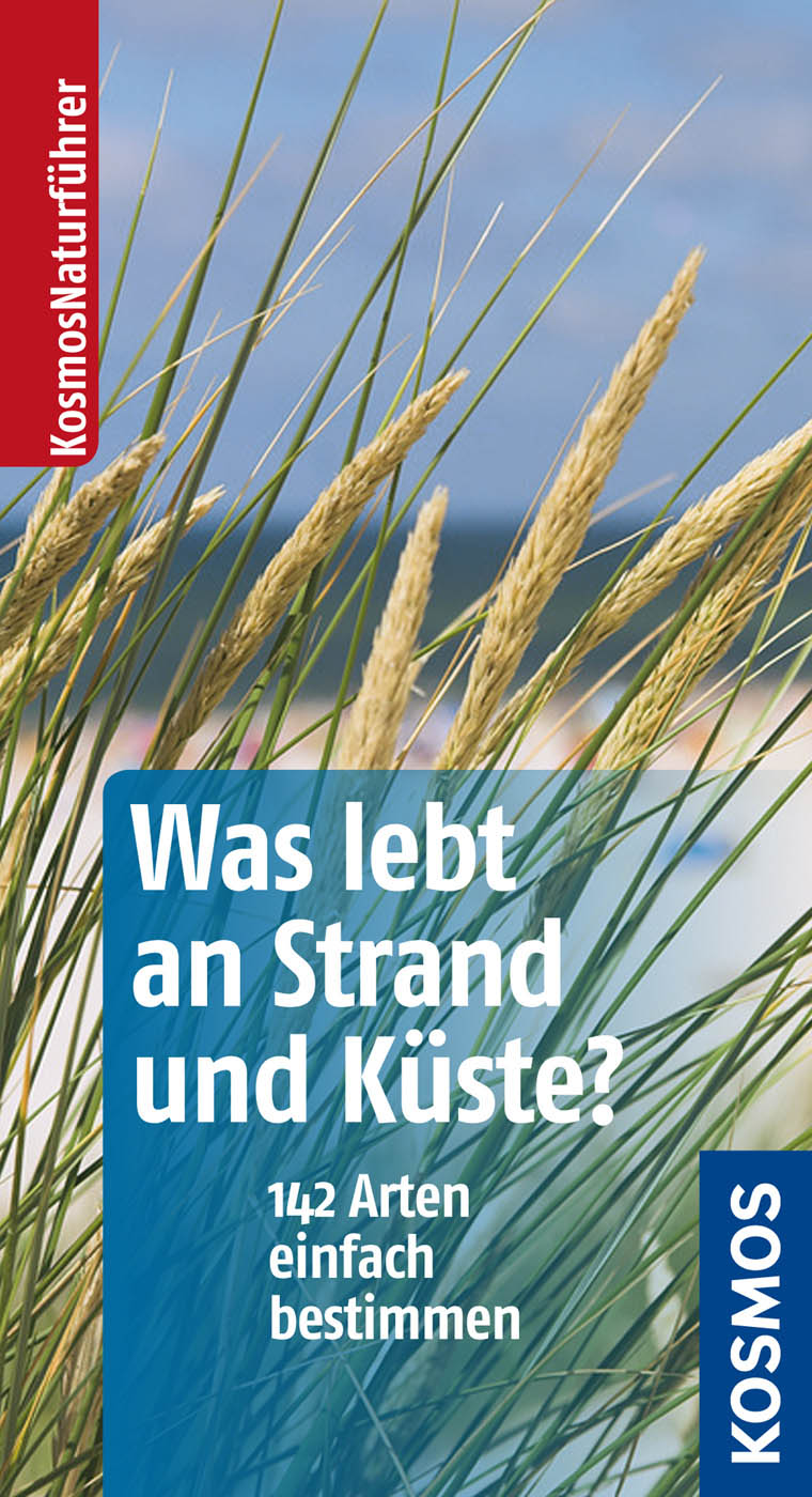 Was lebt an Strand und Küste?: 142 Arten einfach bestimmen