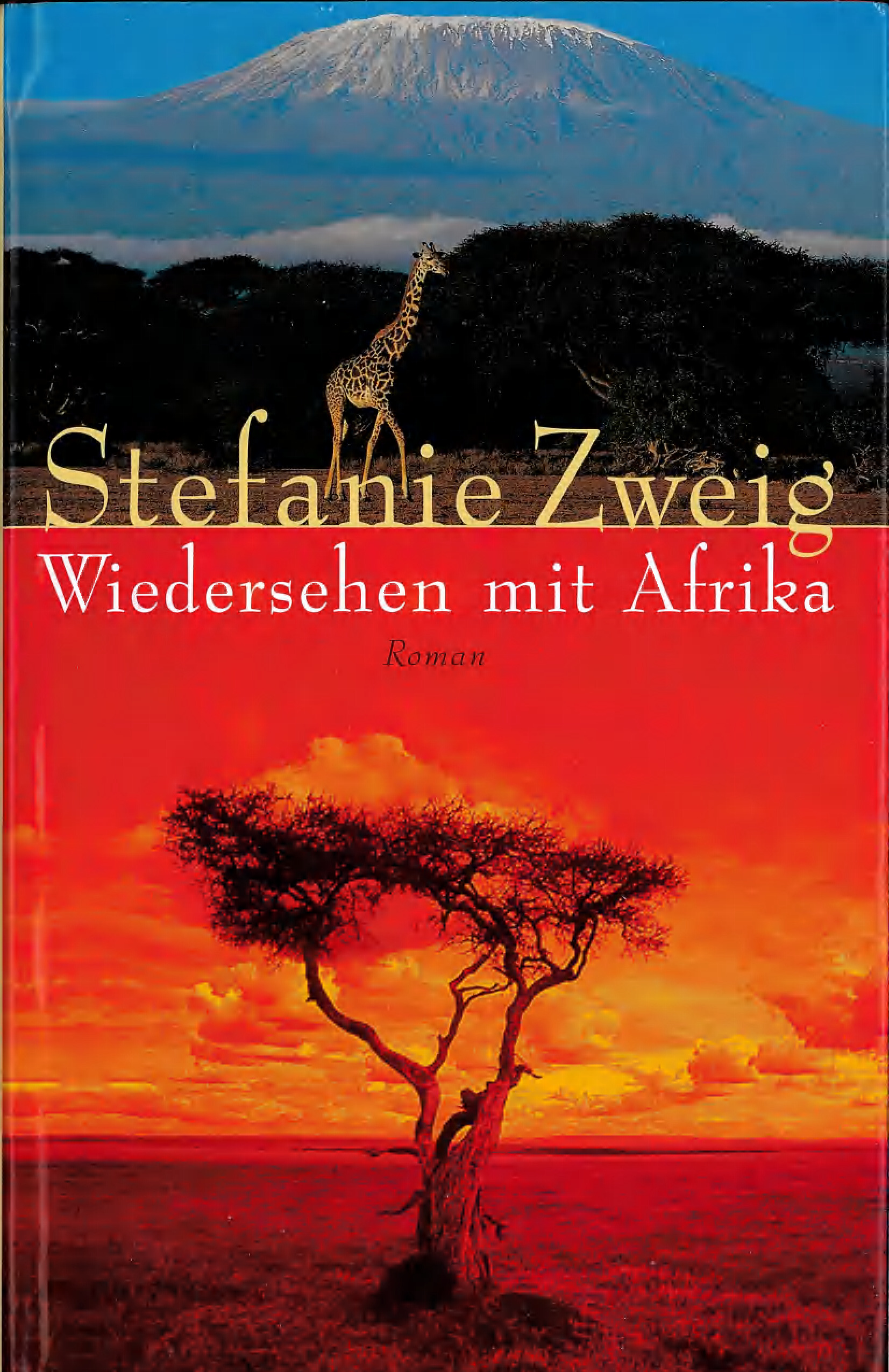 Wiedersehen mit Afrika