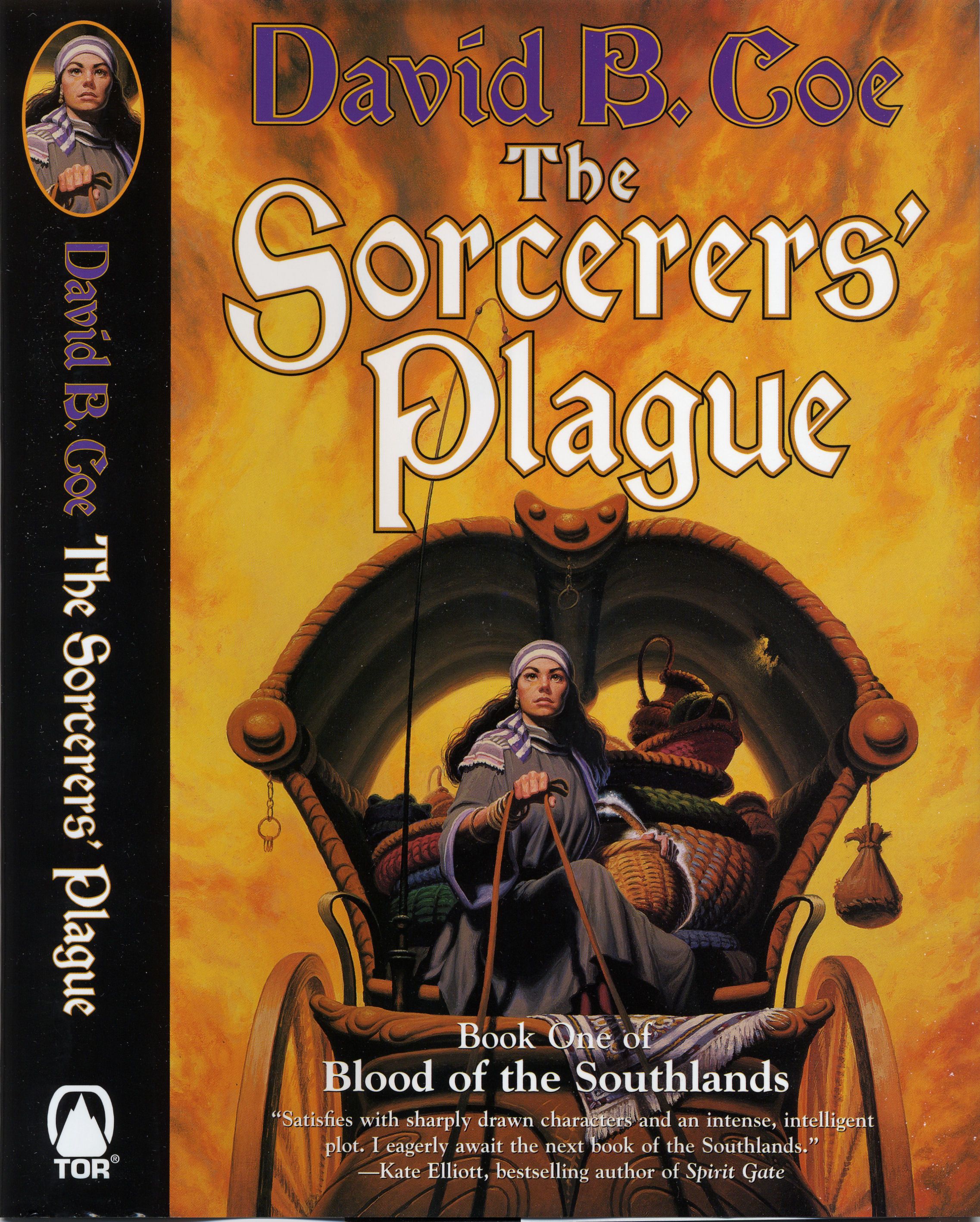 The Sorcerer;s Plague