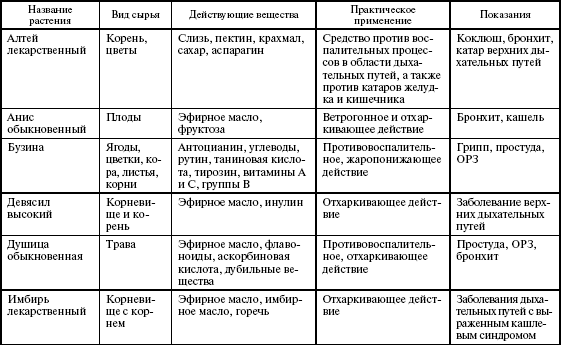 Здоровье дыхательной системы